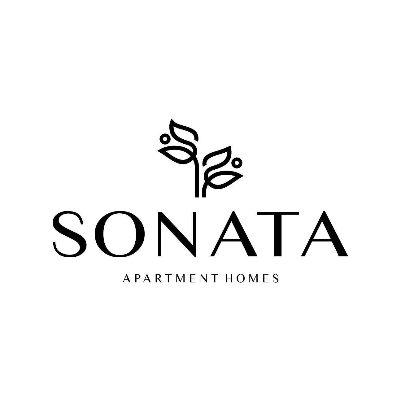 A black screen with no visible content.